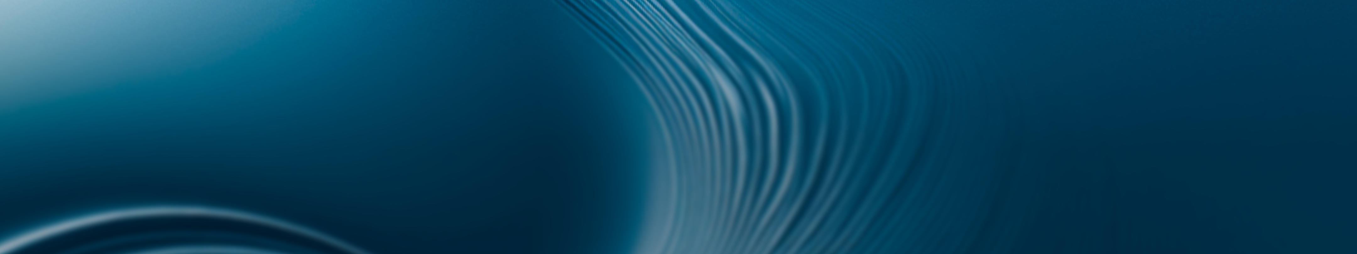 banner-picture