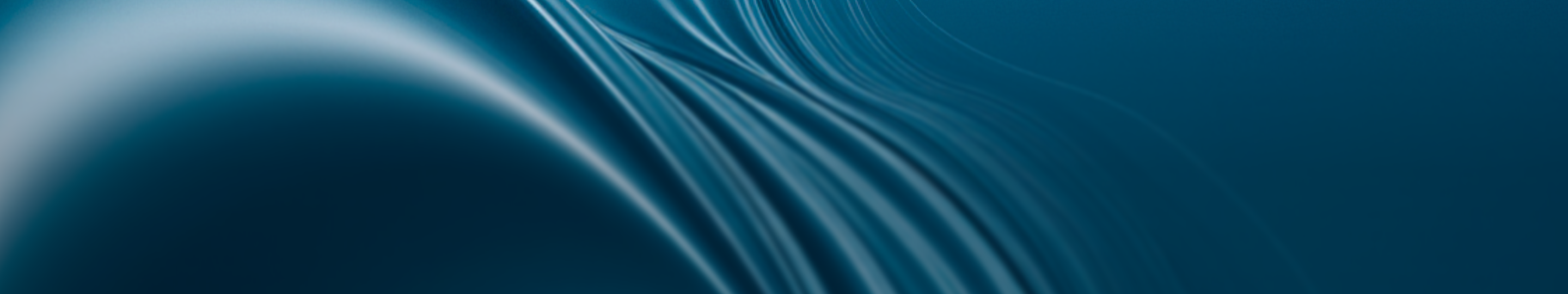 banner-picture
