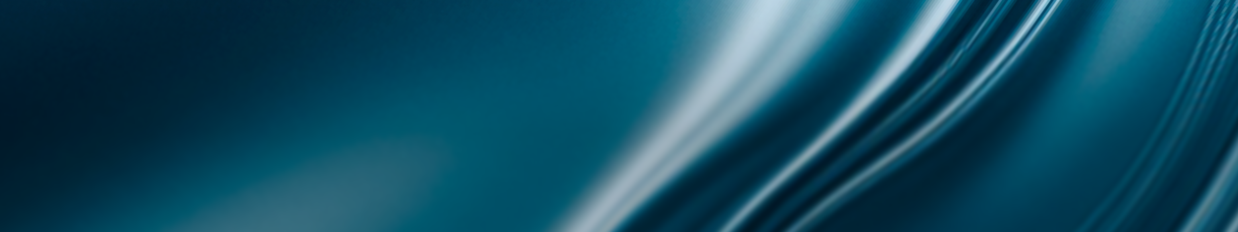 banner-picture