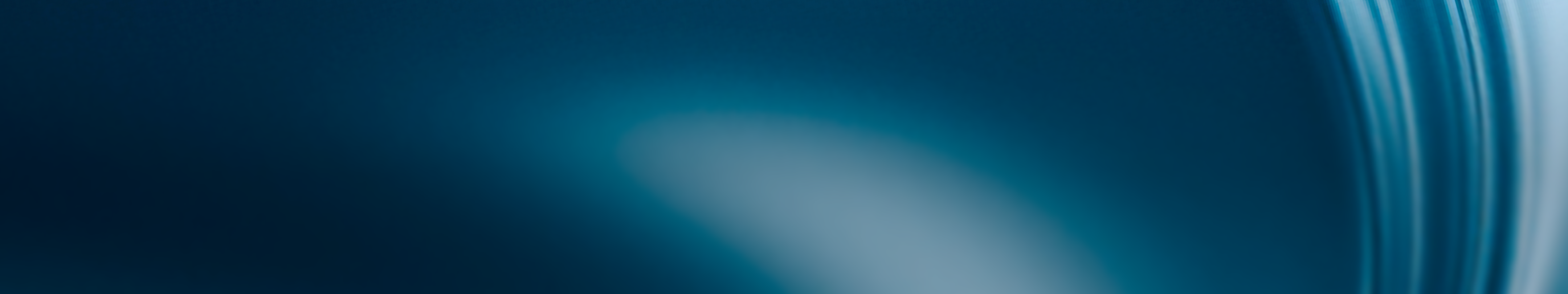 banner-picture